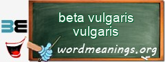 WordMeaning blackboard for beta vulgaris vulgaris